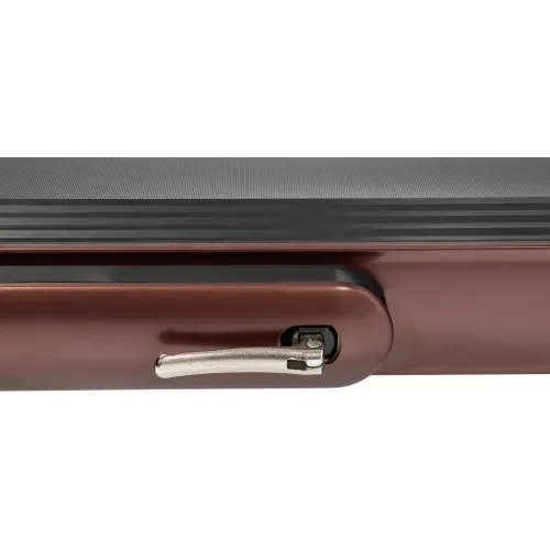 Беговая дорожка Titanium Masters Slimtech C20, коричневая